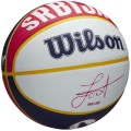 Wilson NBA Player Local Nikola Jokic Outdoor Ball WZ4006701XB, Wilson
