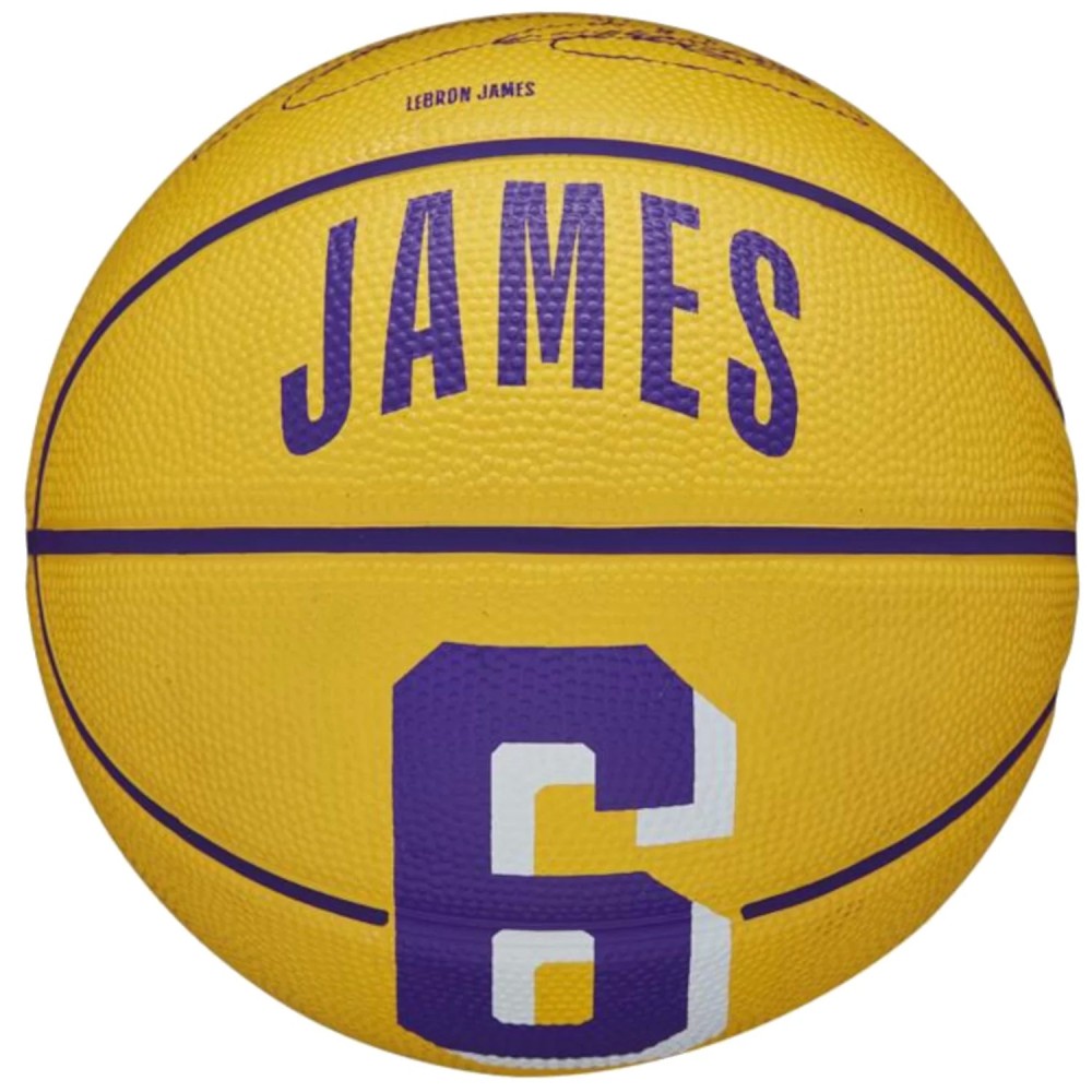 Wilson NBA Player Icon LeBron James Mini Ball WZ4007201XB, Wilson