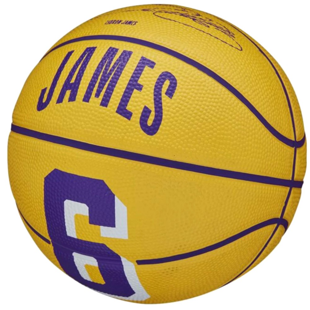 Wilson NBA Player Icon LeBron James Mini Ball WZ4007201XB, Wilson