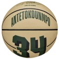 Wilson NBA Player Icon Giannis Antetokounmpo Mini Ball WZ4007501XB, Wilson