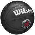 Wilson Team Tribute Toronto Raptors Mini Ball WZ4017608XB, Wilson
