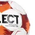 Select Brillant Training DB v25 FIFA Basic Ball 120077, Select