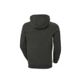 Helly Hansen Tokyo Hoodie 53289-482, Helly Hansen
