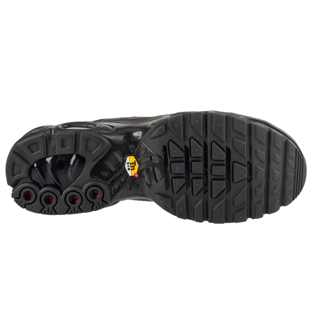 Nike Air Max Plus AJ2029-001, Nike Nike Air Max Plus AJ2029-001, Nike