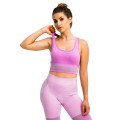GymHero Stripes Bra BRA-MAUVE, GymHero