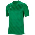 Nike Dri Fit Challange 3 Jr Tee BV6738-302, Nike