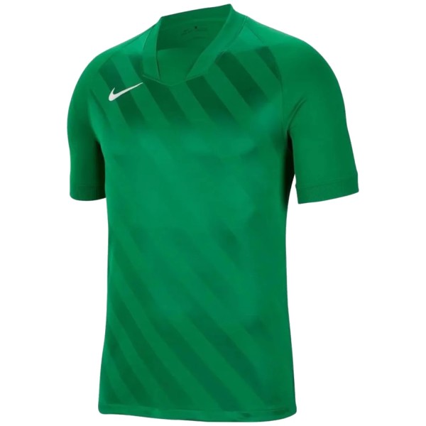 Nike Dri Fit Challange 3 Jr Tee BV6738-302