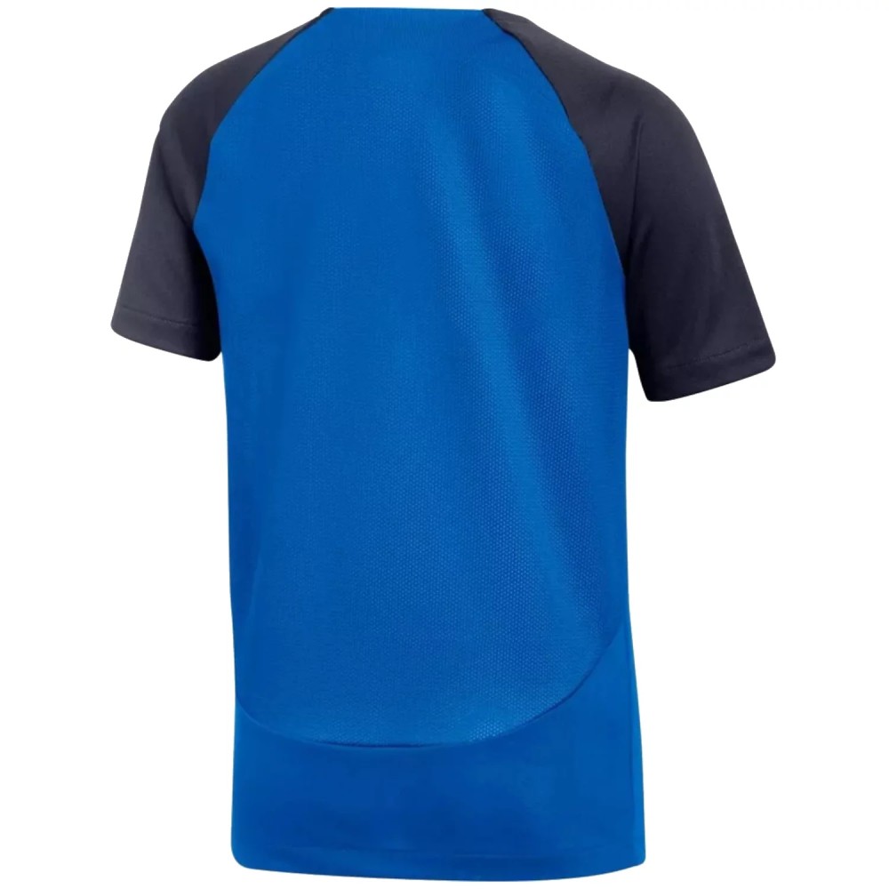 Nike DF Academy Pro SS Jr Top DH9277-463, Nike