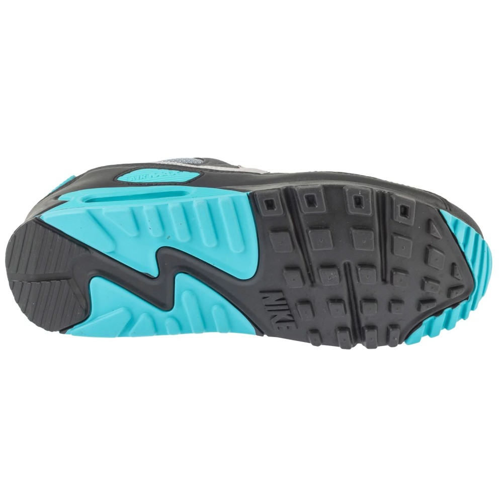Nike Air Max 90 DM0029-013, Nike