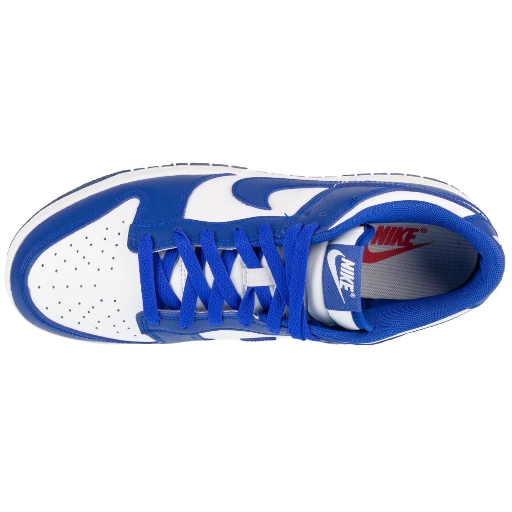 Nike Dunk Low Retro DV0833-103, Nike Nike Dunk Low Retro DV0833-103, Nike