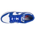 Nike Dunk Low Retro DV0833-103, Nike Nike Dunk Low Retro DV0833-103, Nike