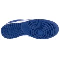 Nike Dunk Low Retro DV0833-103, Nike Nike Dunk Low Retro DV0833-103, Nike