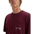 Billabong Stacked Arch Tee EBYZT00175-RSN0, Billabong Billabong Stacked Arch Tee EBYZT00175-RSN0, Billabong