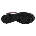 Nike Dunk Low Retro FB3354-001, Nike