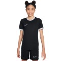Nike Dri-FIT Academy 25 SS Top FZ9758-010, Nike