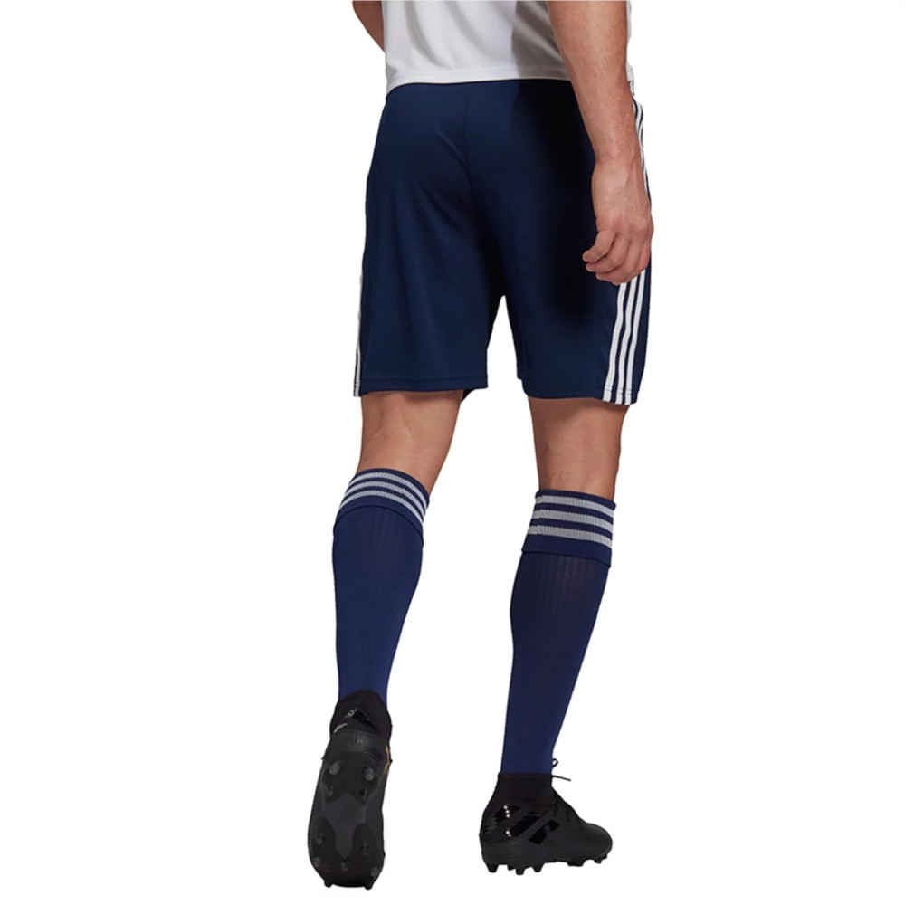 adidas Squadra 21 Shorts GN5775, adidas performance adidas Squadra 21 Shorts GN5775, adidas performance