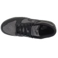 Nike W Dunk Low Retro HF1986-001, Nike