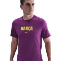 Nike FC Barcelona Soccer Tee HQ8406-595, Nike