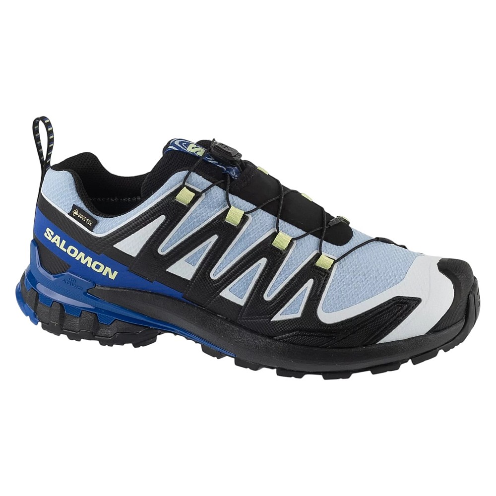 Salomon XA Pro 3D v9 GTX Icon L45486500, Salomon