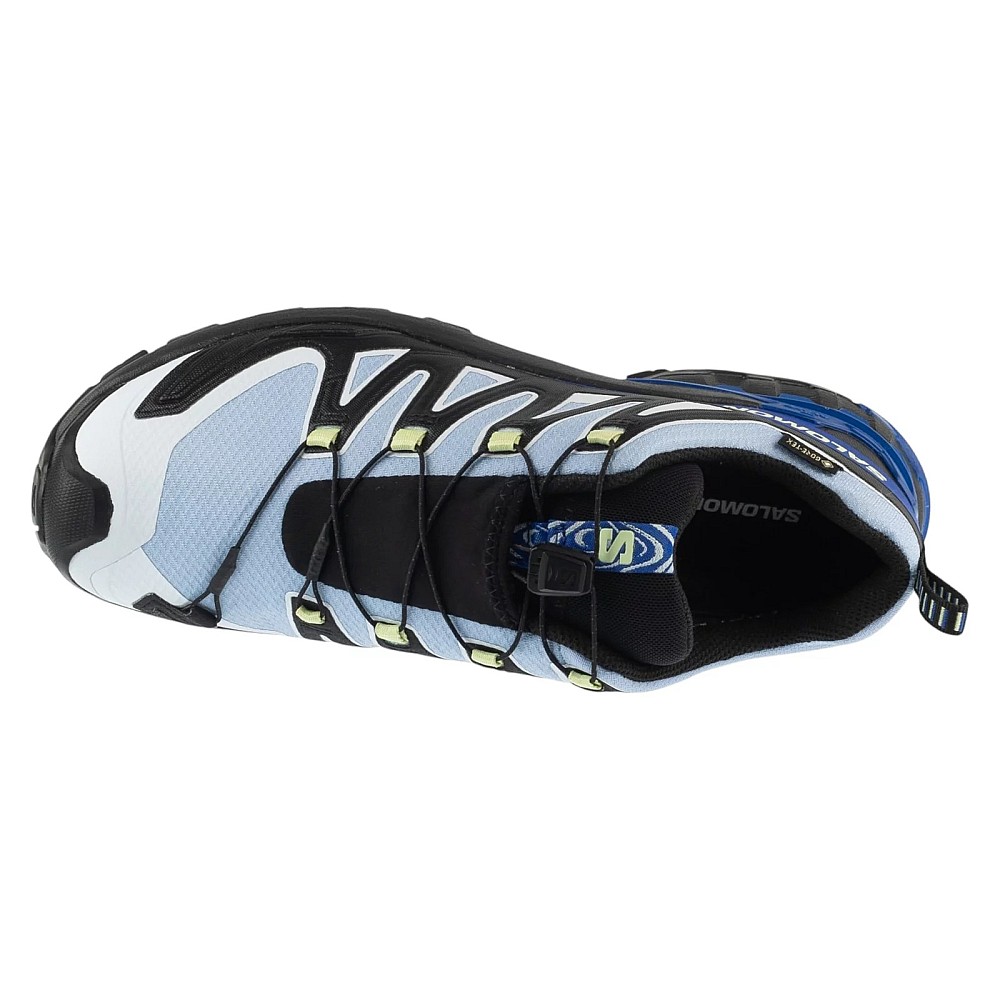 Salomon XA Pro 3D v9 GTX Icon L45486500, Salomon