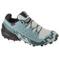 Salomon Speedcross 6 GTX W L47880100, Salomon
