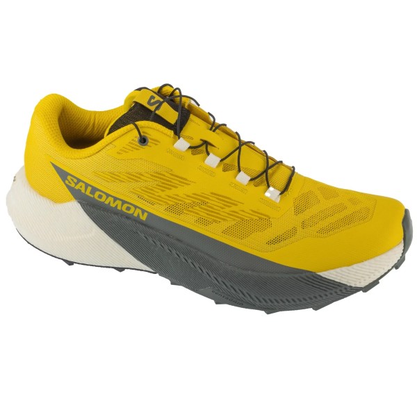Salomon Pulsar L47973200