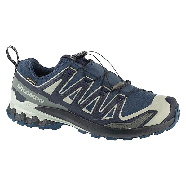 Salomon XA Pro 3D v9 GTX L49199200