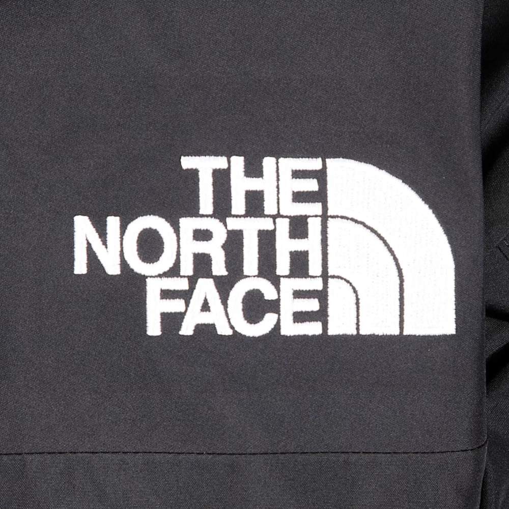 The North Face M GTX Mountain Jacket NF0A831MKX81, The North Face