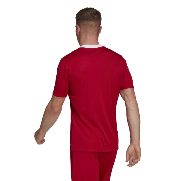 Adidas Entrada 22 H61736