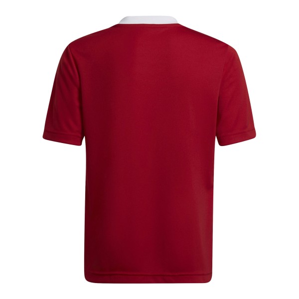 Adidas Junior Entrada 22 H57496