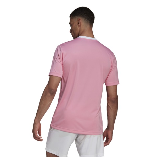 Adidas Entrada 22 HC5072