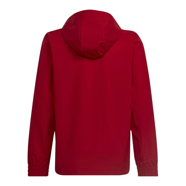 Adidas Junior Entrada 22 All-weather HG6300