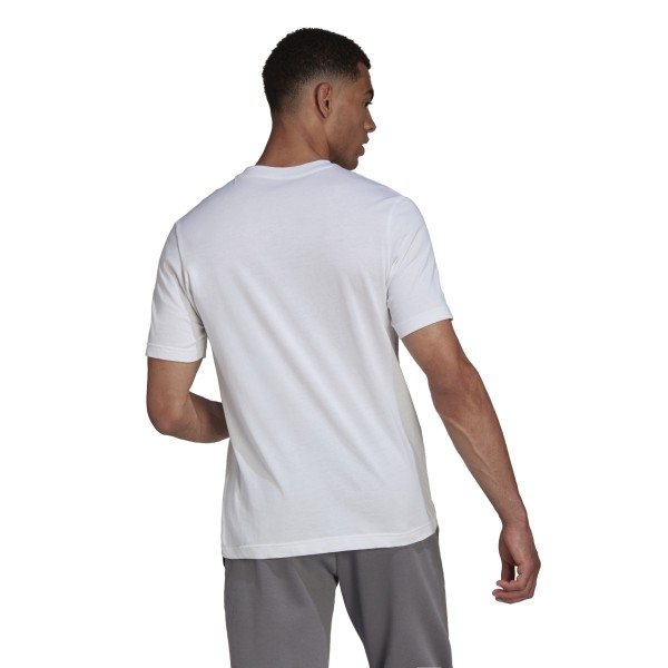 T-shirt Adidas Entrada 22 HC0452