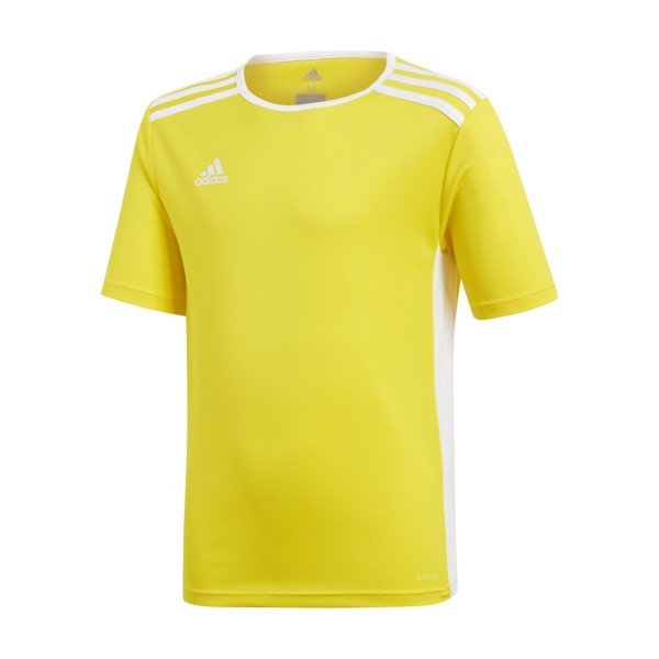 Adidas Junior Entrada 18 CF1039