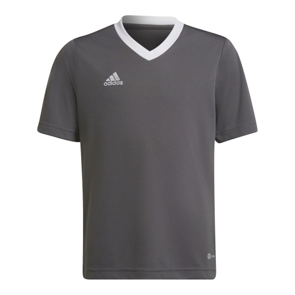 Adidas Junior Entrada 22 H57499