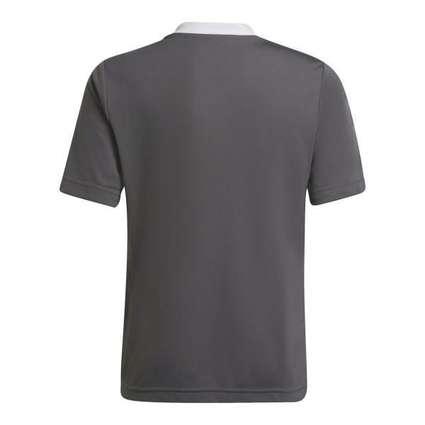 Adidas Junior Entrada 22 H57499