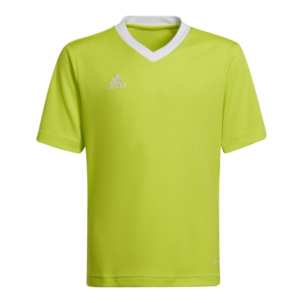 Adidas Junior Entrada 22 HC5079