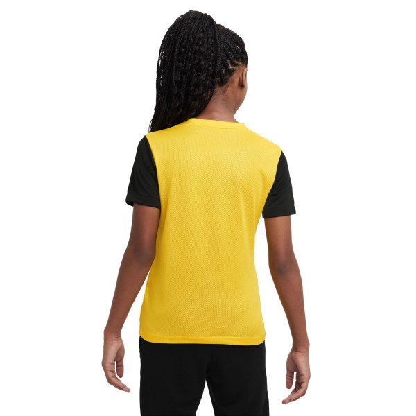 Nike Junior Tiempo Premier II DH8389-719