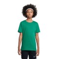 T-shirt Nike Junior Park 20 CZ0909-302 T-shirt Nike Junior Park 20 CZ0909-302, Nike
