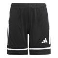 Adidas Junior Squadra 25 JN5459, Adidas