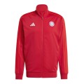 Adidas Bayern Monachium DNA TT IT4154, Adidas