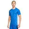 Nike Dri-FIT Challenge Jersey V FD7412-463, Nike