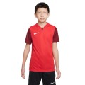 Nike Junior Dri-FIT Trophy 5 DR0942-657 Nike Junior Dri-FIT Trophy 5 DR0942-657, Nike