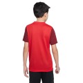 Nike Junior Dri-FIT Trophy 5 DR0942-657 Nike Junior Dri-FIT Trophy 5 DR0942-657, Nike