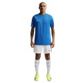 Nike Dri-FIT Park VIII HV8173-463 Nike Dri-FIT Park VIII HV8173-463, Nike