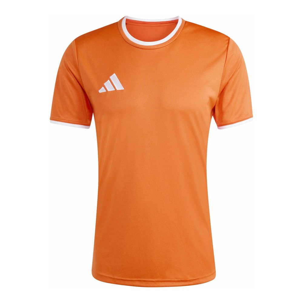 Adidas Entrada 26 JZ2509, Adidas