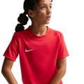 Nike Junior Dri-FIT Park VIII HV8182-657 Nike Junior Dri-FIT Park VIII HV8182-657, Nike