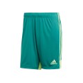 Adidas Tastigo 19 DP3251, Adidas